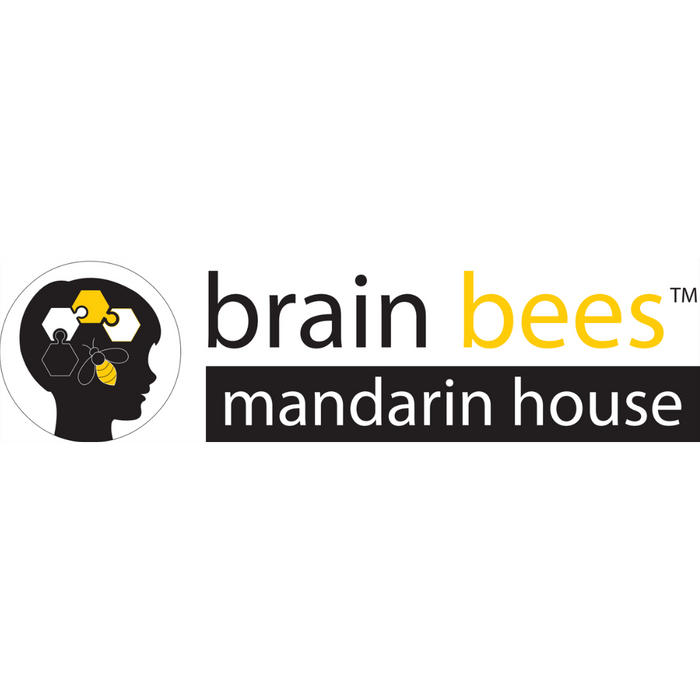Brainbees Online Program (Chinese - Beginner) For Sri Emas Only