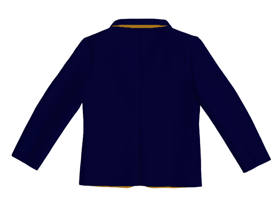 DWI-8002-U - UNISEX DWI POWER BLAZER WITH CONTRAST INNER LINING AND SELF COVERED BUTTON DETAIL