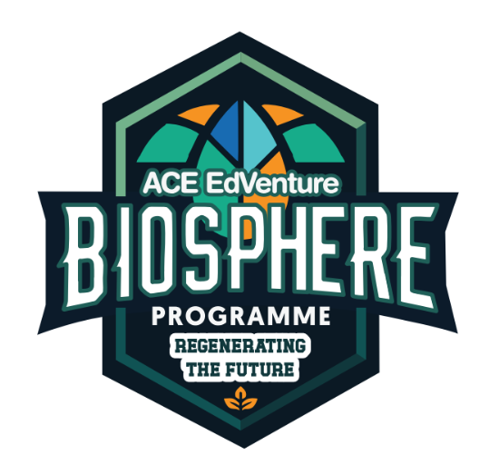 ACE EDVENTURE LETTERMAN PATCHES SERIES