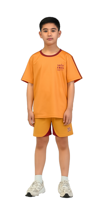 SRI-1003-U - PRIMARY UNISEX ATHLETIC S/S CREWNECK TEE WITH PRINTED STRIPE DETAILING AND LEFT CHEST LOGO