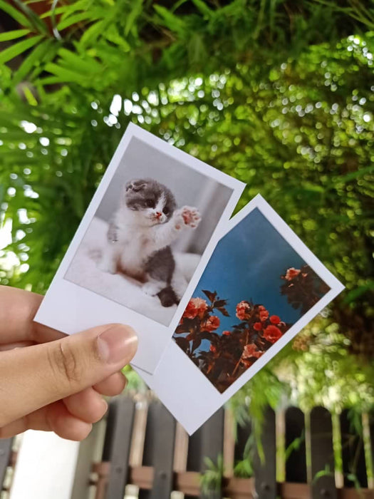 Polaroids-10 Pieces