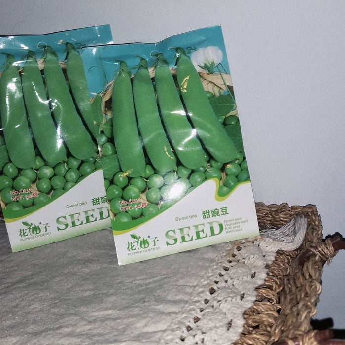 sweet pea seed