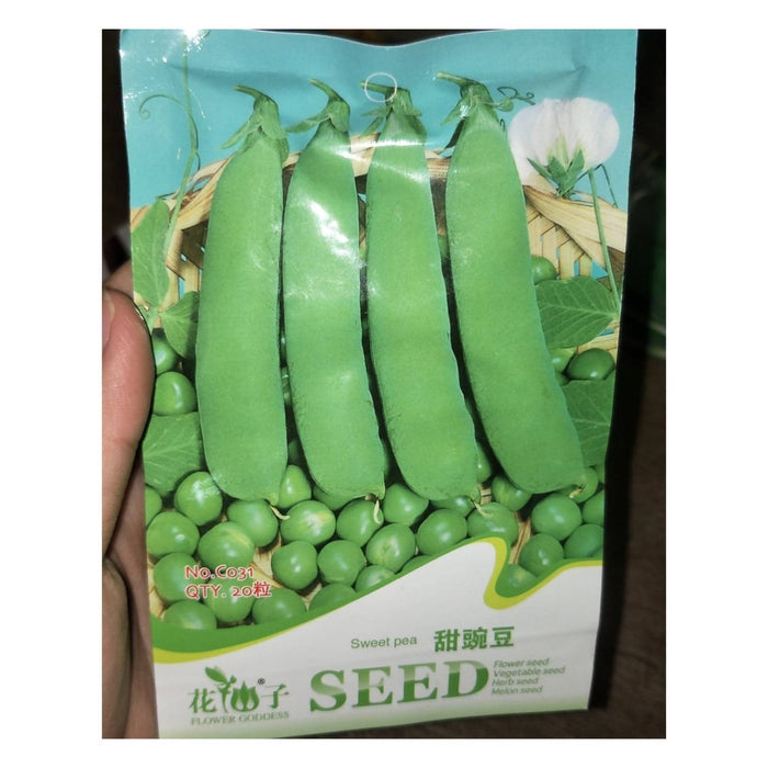 sweet pea seed