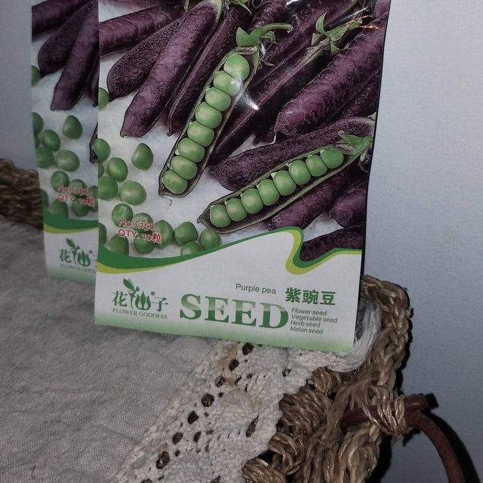 purple pea seed