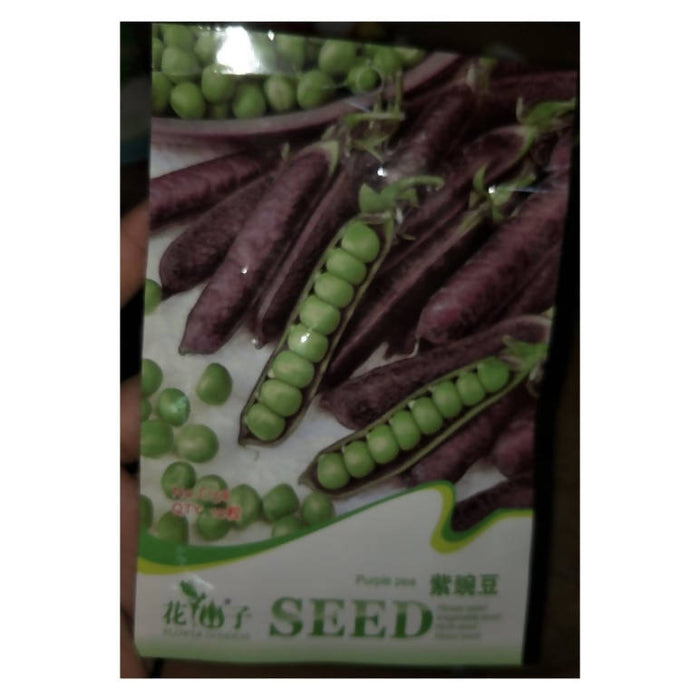 purple pea seed